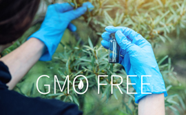 Sampangi bio farms non gmo seeds